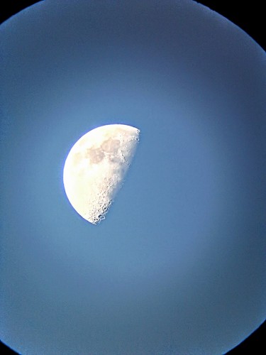 Philip K. Dick (duplicate entry): Do Androids Dream of Electric Sheep? (2050, Houghton Mifflin Harcourt Publishing Company, Mariner Books)