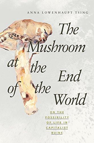 Anna Lowenhaupt Tsing: The Mushroom at the End of the World (2017, Princeton University Press)